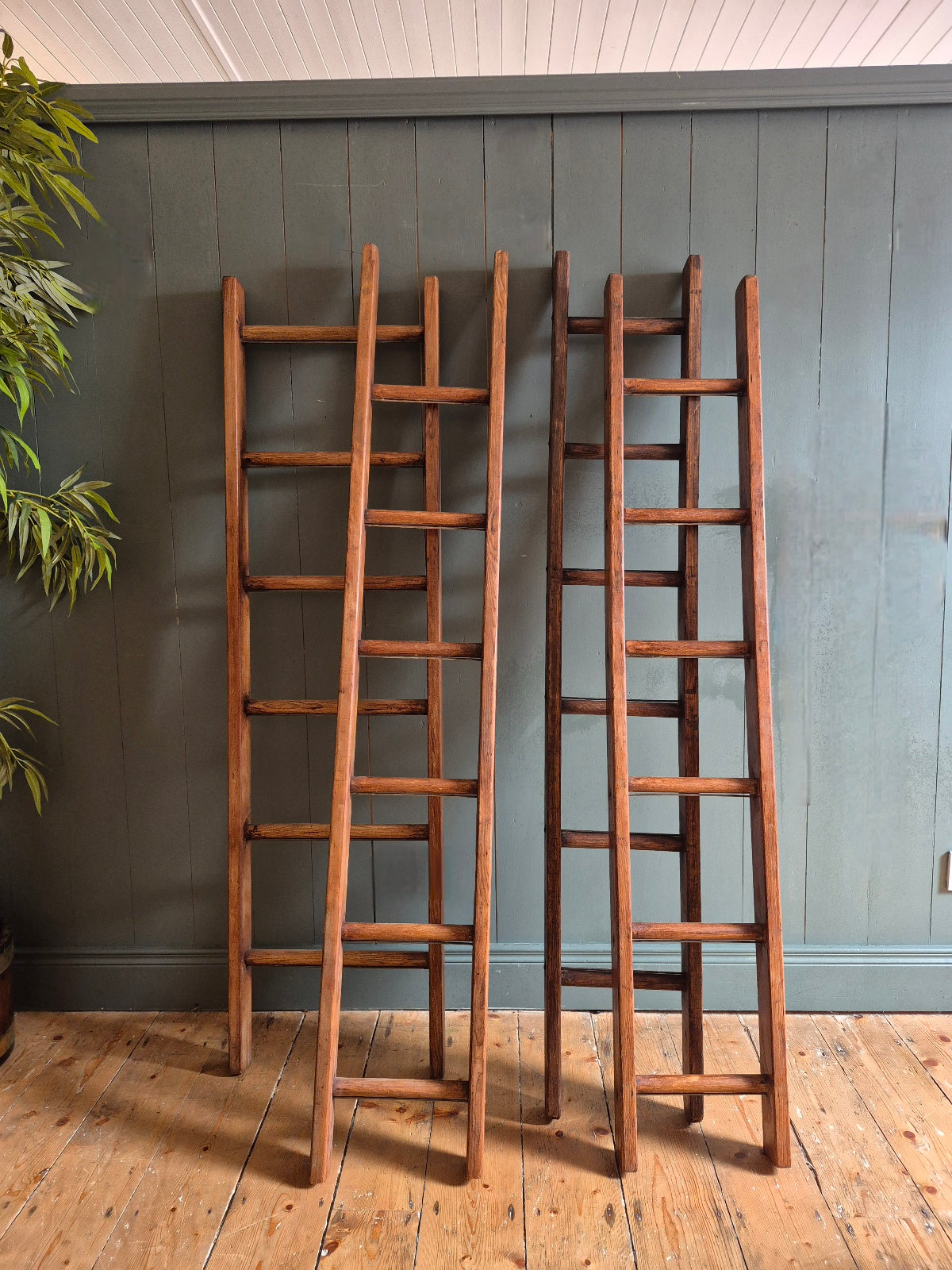 Vintage Pine Ladder