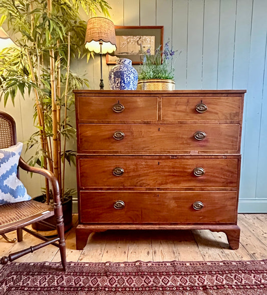 Late Georgian Mahogany Chest of Drawers
