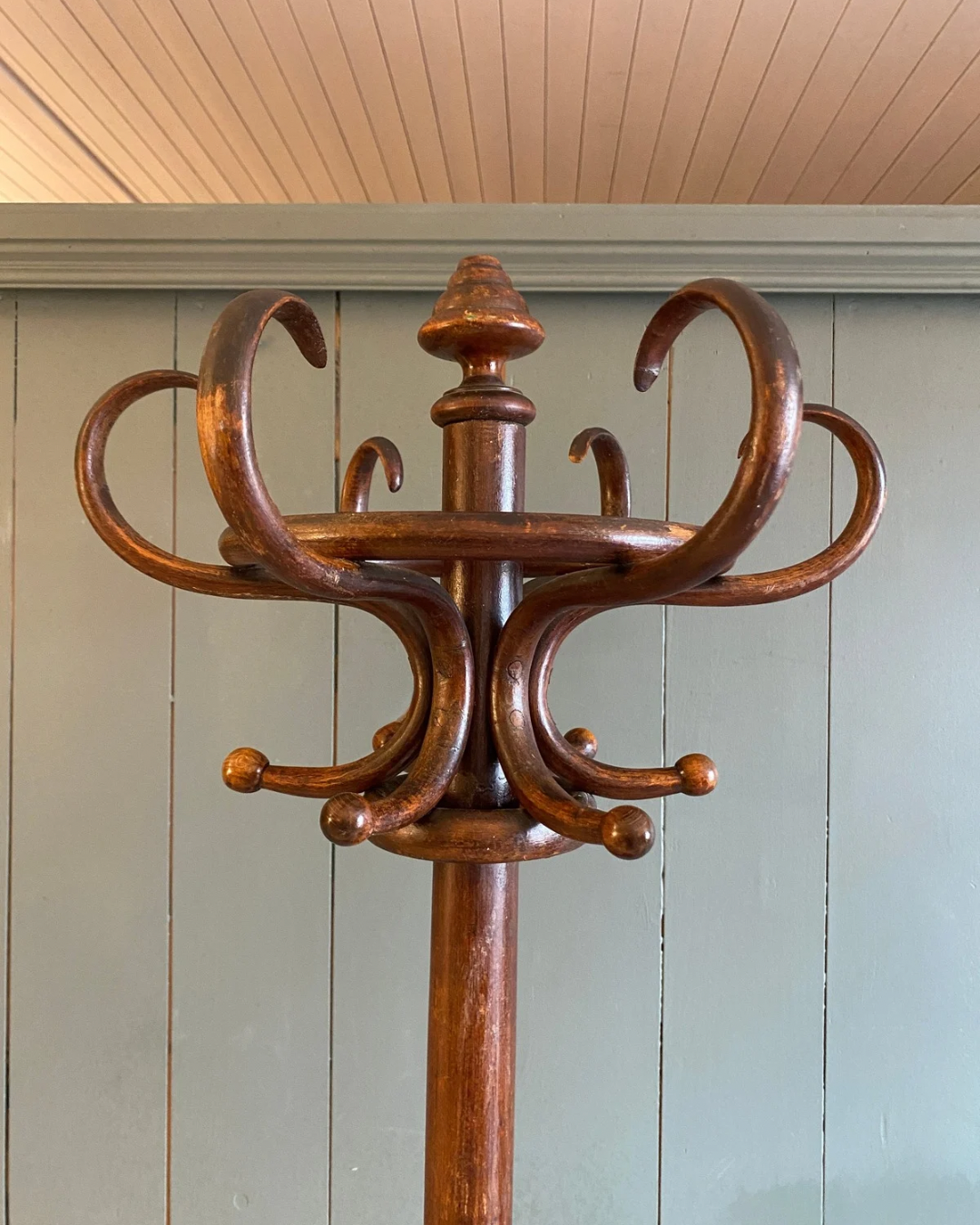 Bentwood Coat Stand