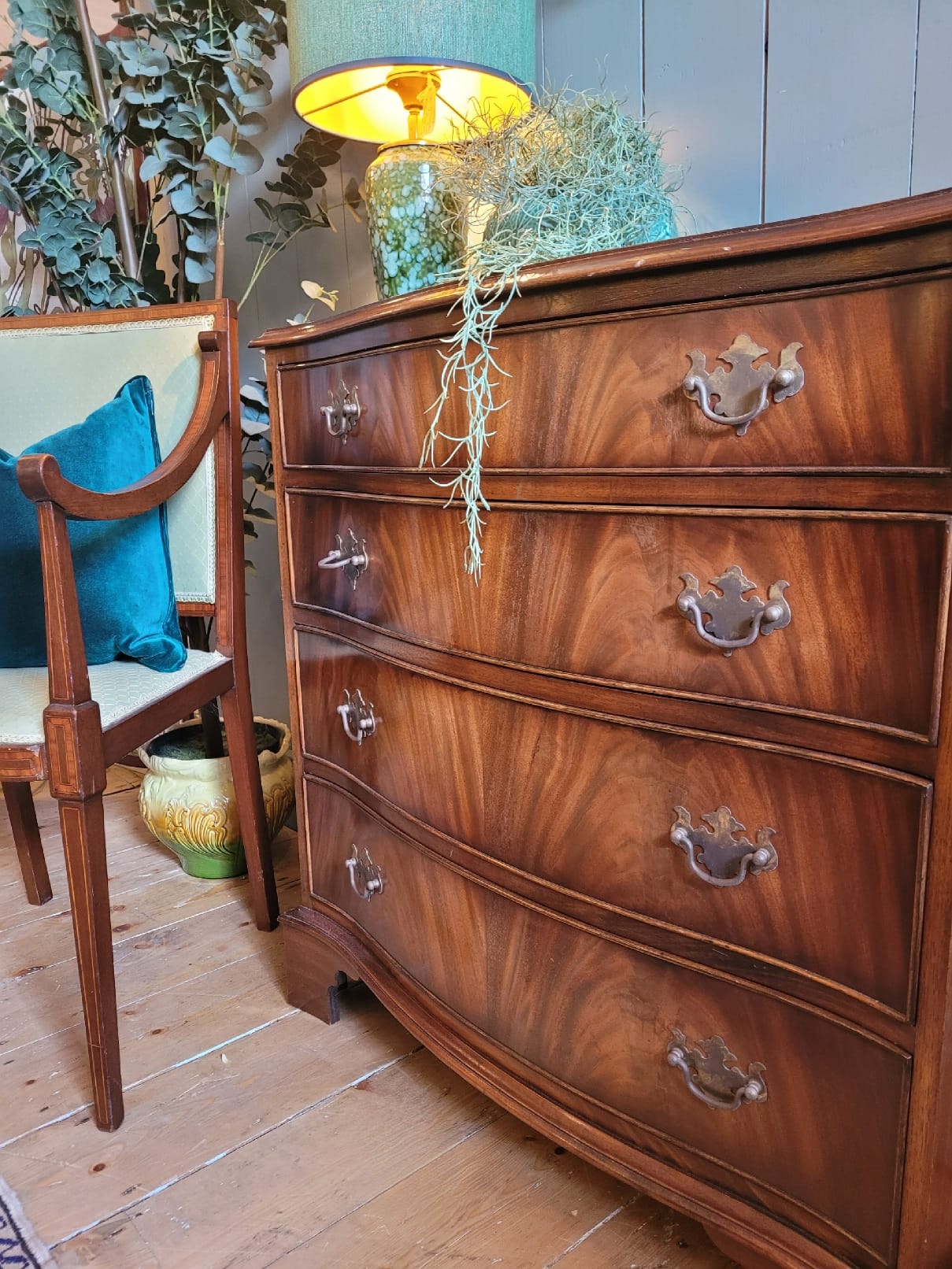 Bow Front Mahogany Chest of Drawers