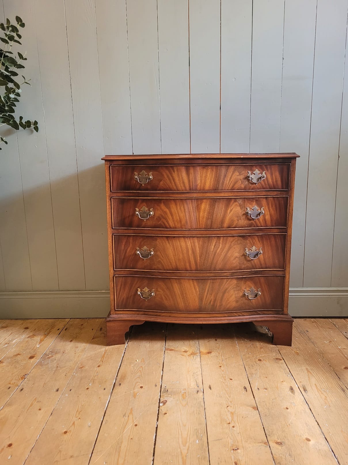Bow Front Mahogany Chest of Drawers