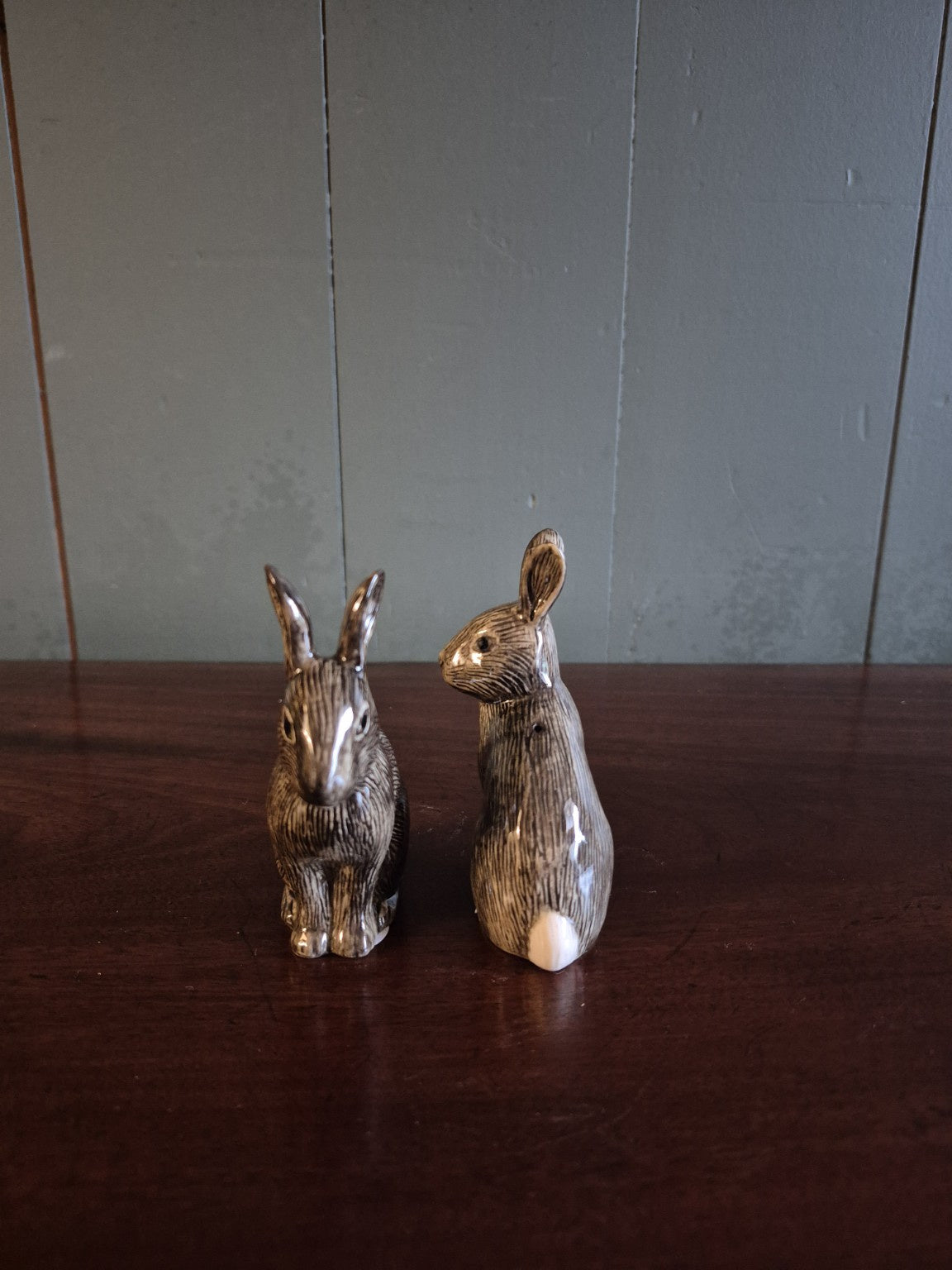 Hand Painted Wild Rabbit Salt and Pepper