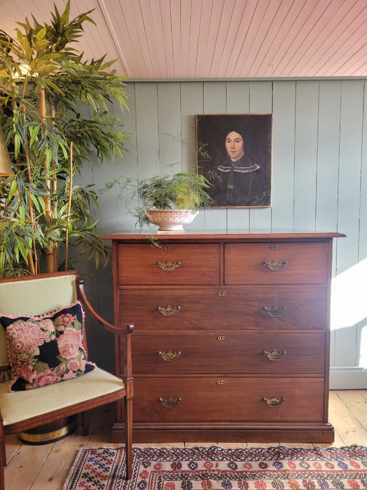 Edwardian Walnut Chest of Drawers