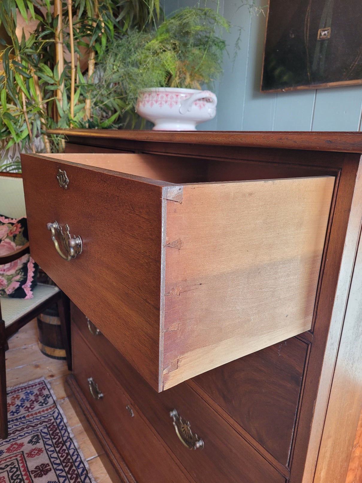 Edwardian Walnut Chest of Drawers