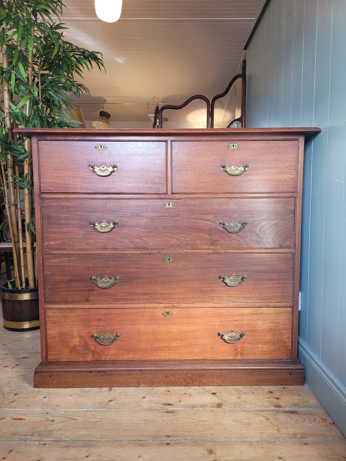 Edwardian Walnut Chest of Drawers