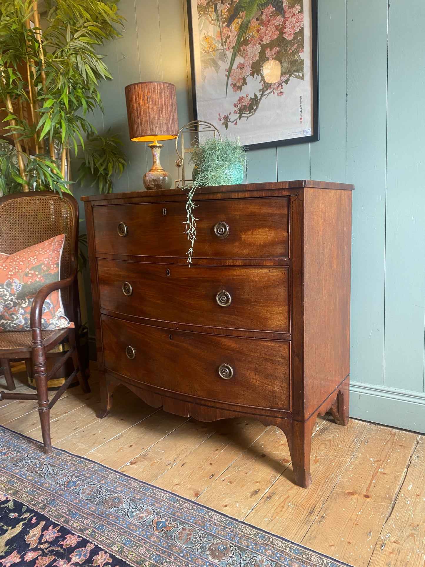 Georgian Bow Front Chest of Drawers