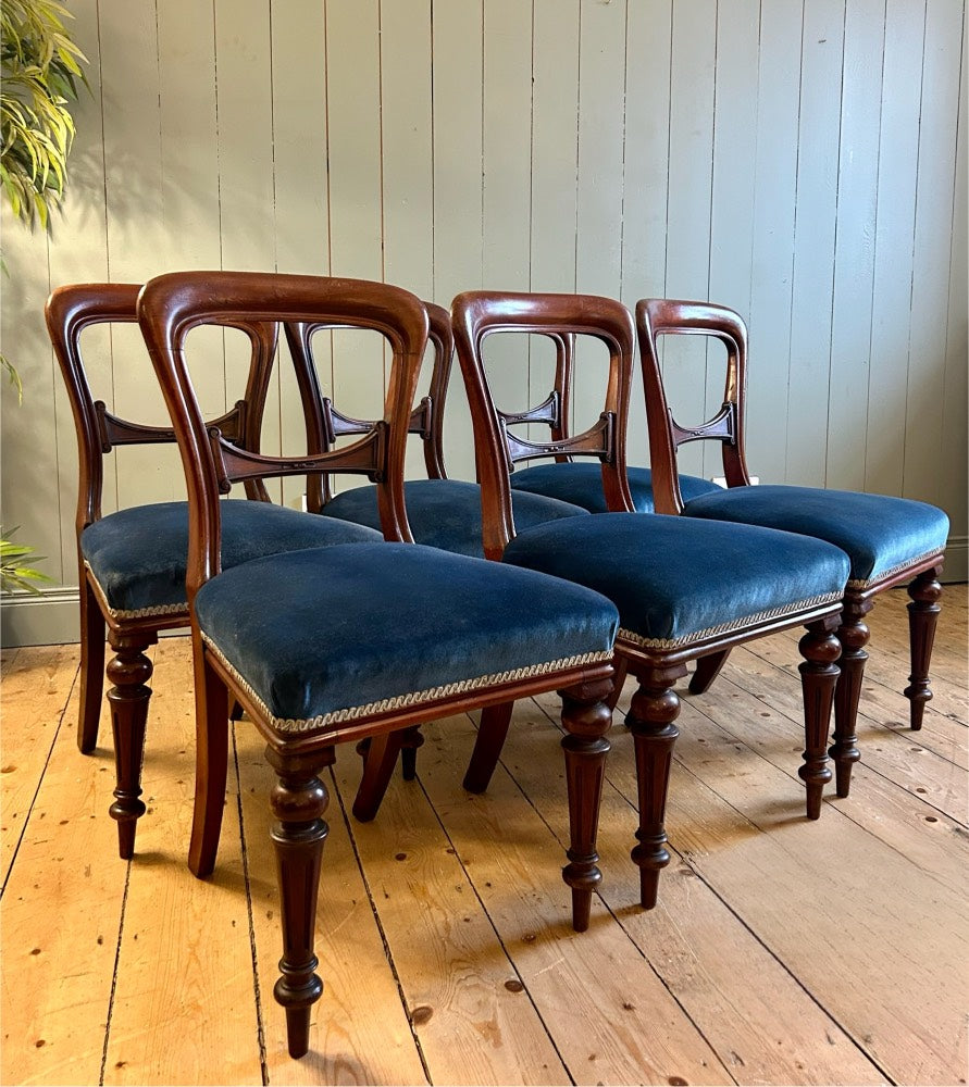 6 Victorian Balloon Back Dining Chairs